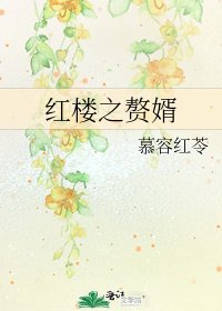 红楼之赘婿